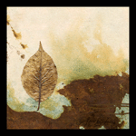 Single Leaf in Silk Organza/Mixed Media